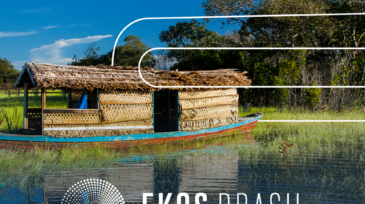 Imagens-site-958x958---Ekos